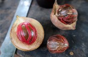 Nutmeg from Sri Lank