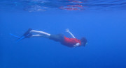 Bonaire snorkling an