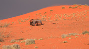 Namibian desert wrec