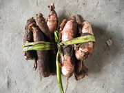 Bundle of cassava ro
