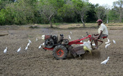Cultivating a ricefi