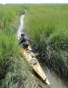 Saeftinghe by kayak