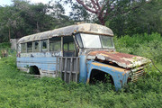 Old schoolbus - Rinc